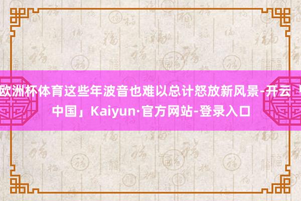欧洲杯体育这些年波音也难以总计怒放新风景-开云「中国」Kaiyun·官方网站-登录入口