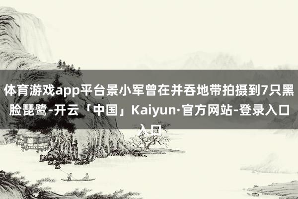 体育游戏app平台景小军曾在并吞地带拍摄到7只黑脸琵鹭-开云「中国」Kaiyun·官方网站-登录入口