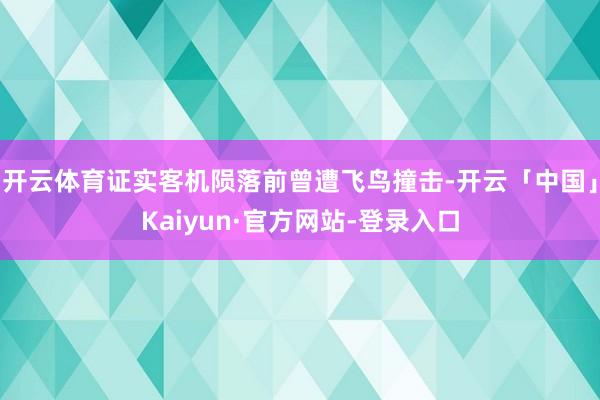 开云体育证实客机陨落前曾遭飞鸟撞击-开云「中国」Kaiyun·官方网站-登录入口
