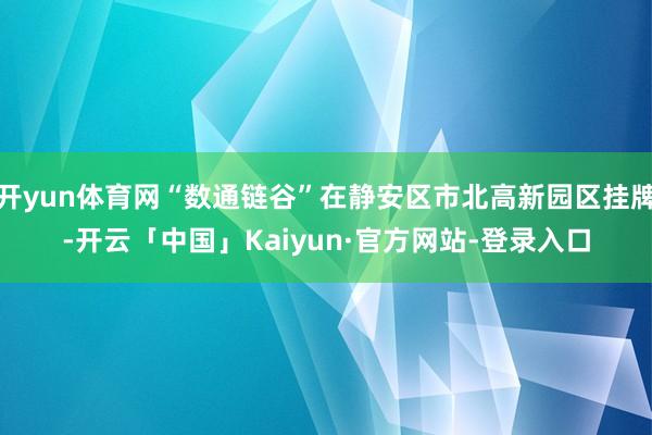 开yun体育网“数通链谷”在静安区市北高新园区挂牌-开云「中国」Kaiyun·官方网站-登录入口